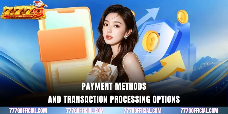 Payment methods and transaction processing options